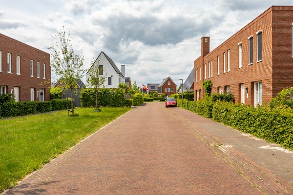 2025-03-06 Het Verlaat 4 -6.jpg